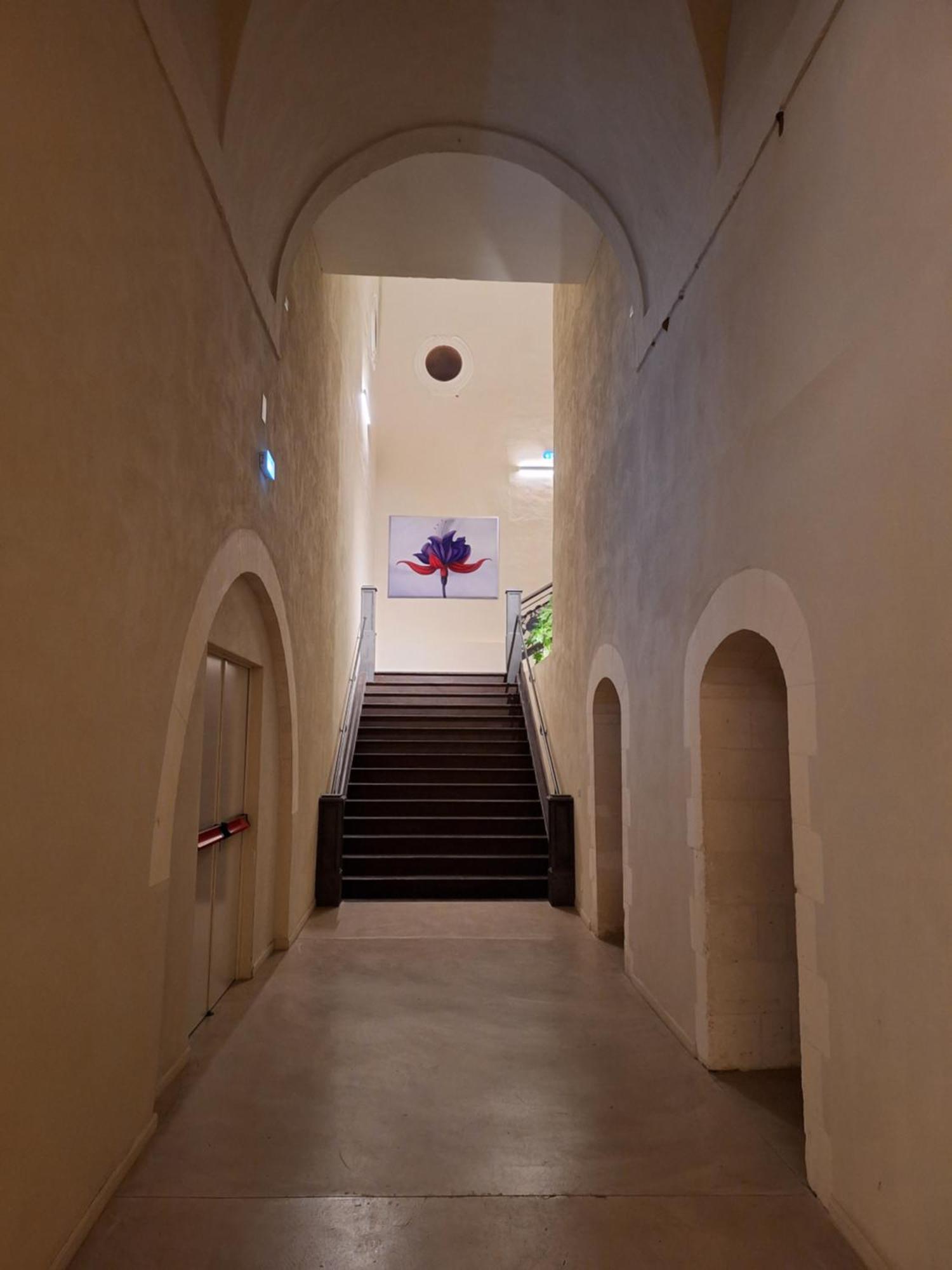 Chiostro dei Domenicani - Dimora Storica Lecce Esterno foto